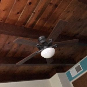 Meet your Posher, Ellie